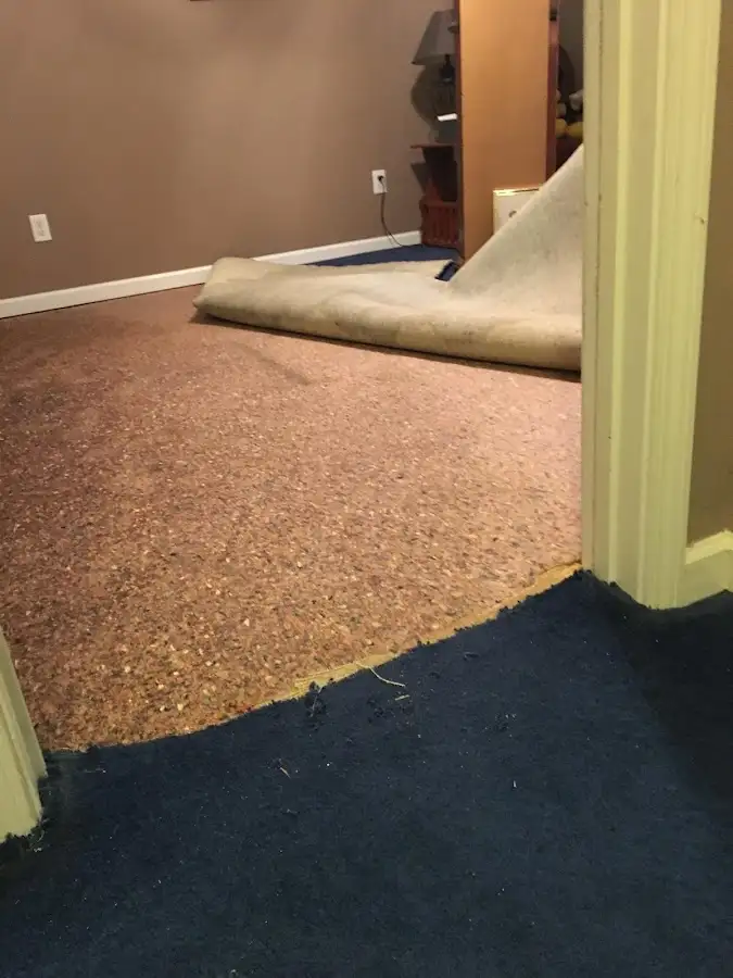 Carpet pad removal revealing water damage during Drying & Dehumidification in Cotati