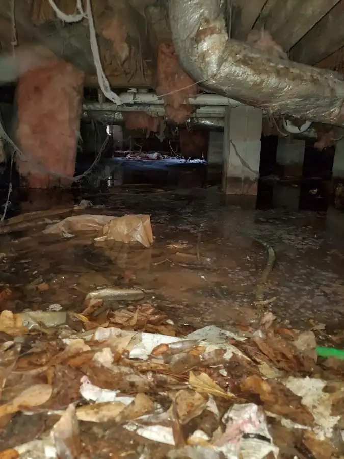 Crawl space flood assessment for Commercial Water Damage Restoration in Cotati