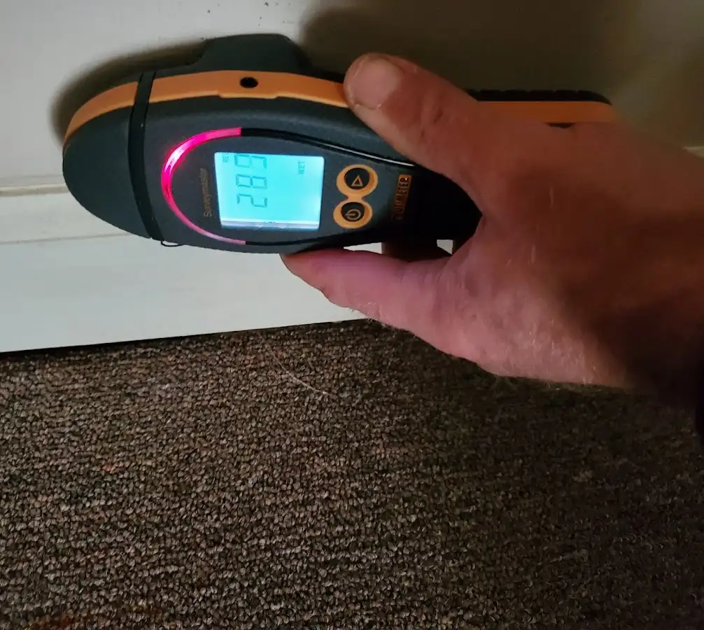 Moisture detection at baseboard during Sewage Cleanup & Sanitation in Cotati