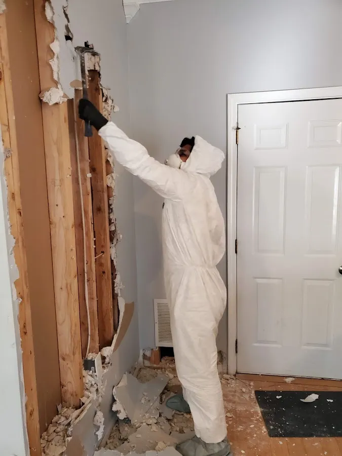 Water Damage Restoration services in Cotati, CA